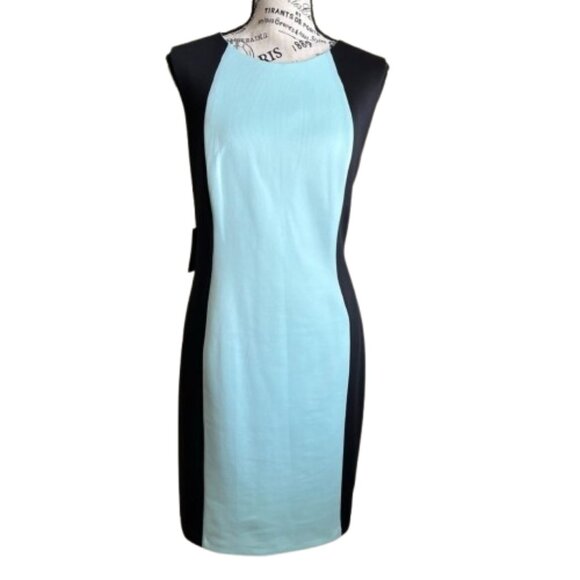 NWT Alexia Admor Womens Size 8 Colorblock Scuba Knit Sheath Mini Dress NEW - Picture 2 of 7